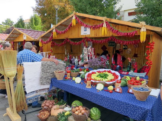 Megyei Közfoglalkoztatási Kiállítás 013